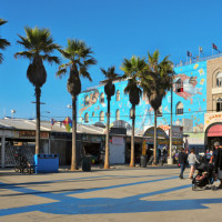 Venice Boardwalk Vehicular Assault