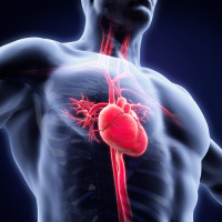 ruptured-aorta-lawsuit ruptured-aorta-lawsuit